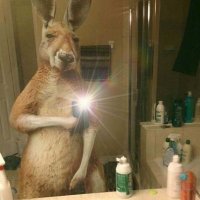 저기🕯 (@hey_you_14) 's Twitter Profile Photo