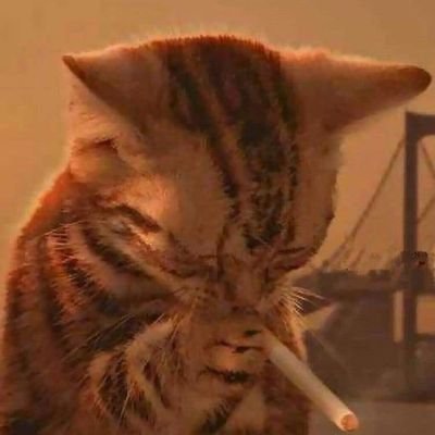 Raphael05072002's profile image
