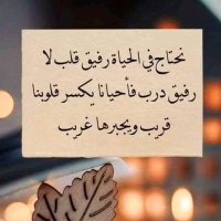 سيف المقبالي (@lonestaralpha1) Twitter profile photo