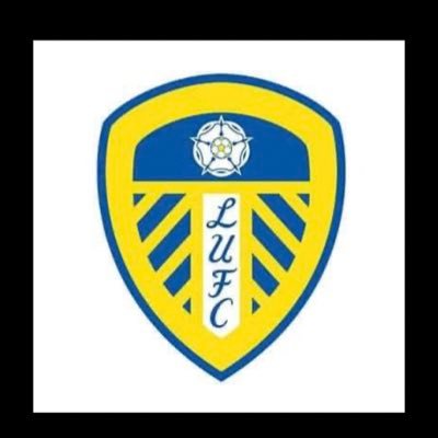 true leeds fan football and kids football manager