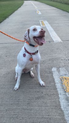 MarthaJenny886's profile picture. 过好每一天！