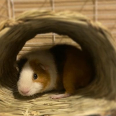 mrcg369's profile picture.