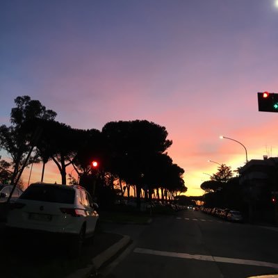 SilviaNast99883's profile picture. 