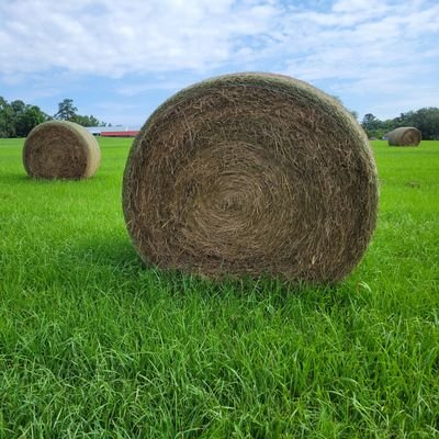 Family owned and operated small business, specializing in hay and forage production.