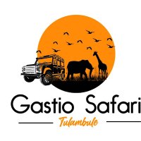 Gatsio Safariz (@gsafariz90594) 's Twitter Profile