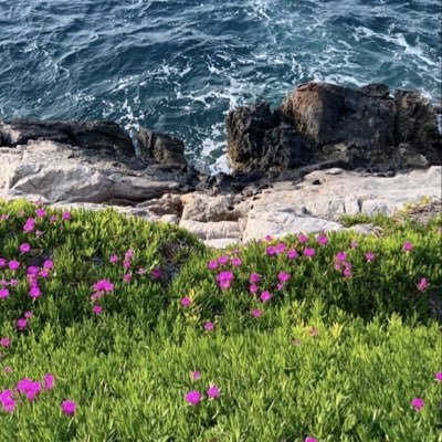 madebaiime's profile picture. สอบถาม/สั่งซื้อ 👉🏻IG : madeyouluv