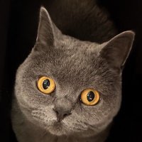 Simon James George (@sjgeorge6) 's Twitter Profile Photo Simon James George (@sjgeorge6) 's Twitter Profile Photo