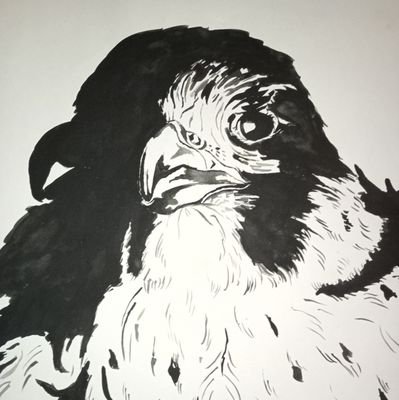 DineHeim's profile picture. Liebe-Glaube-Zuversicht, darin liegt die Kraft. 🇩🇪