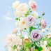 ♥️🌺 M - H - T 🌺♥️ (@manzoor46286804) Twitter profile photo ♥️🌺 M - H - T 🌺♥️ (@manzoor46286804) Twitter profile photo