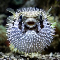 Ben (@benjohnevery) 's Twitter Profile