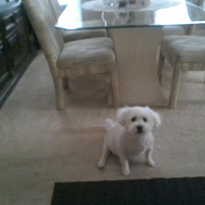 ssumer929's profile picture. No Drama, just fine wine and good friends :)