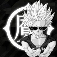 ⚡SonGohan22⚡ (@songohan_ssj2) 's Twitter Profile