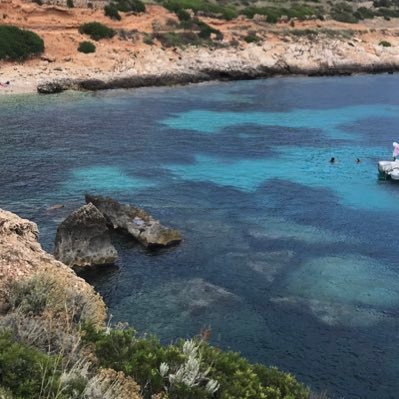 jouvetkyahoocom's profile picture. 