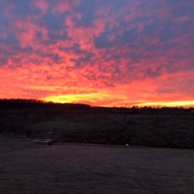 cacmilan's profile picture. 