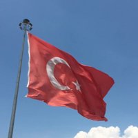 Ayşe Lütfiye Poçanoğlu(@ayseltfiyepocan) 's Twitter Profile Photo