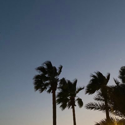 NoorRashdan's profile picture. LS1 5PZ