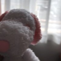 やめちゃう (@kotonoha_0076) 's Twitter Profile