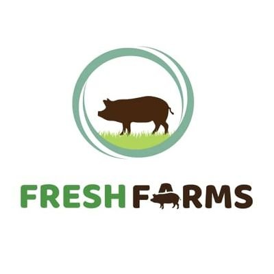 FreshfarmsGh's profile picture. Raising and producing quality and healthy pigs to serve all human needs.