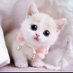 فاطمه عبد الرحمن (@amalyl95195) Twitter profile photo فاطمه عبد الرحمن (@amalyl95195) Twitter profile photo