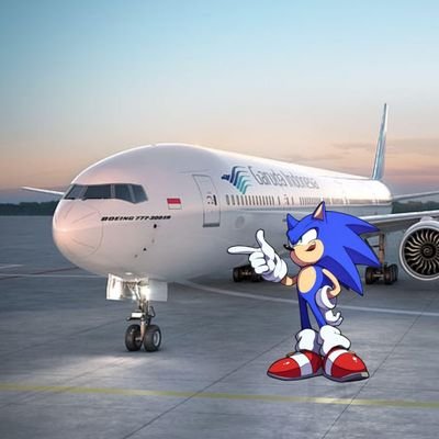 • You are my inspiration • 
| My likes are here |
✈️ Aviation
✏️ Sonic Fanarts