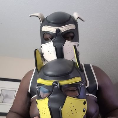 BigNerdyPup Profile Picture