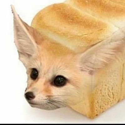 Alex Liddellさんのプロフィール画像