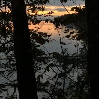 JS (@souvblvdplc) 's Twitter Profile
