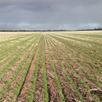 Nutrien Horsham (@nutrienhorsham) 's Twitter Profile