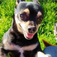 TheDoubleM’s MaggieMay MiniMia Francie (@francier13) 's Twitter Profile