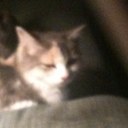 Gene Arthur - @24bustout7 - Twitter