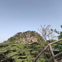 石头YLLL (@yn6216121279777) Twitter profile photo