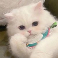 Betsy (@crujhoice) Twitter profile photo