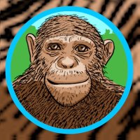 Primate Seven(@primate7) 's Twitter Profile Photo