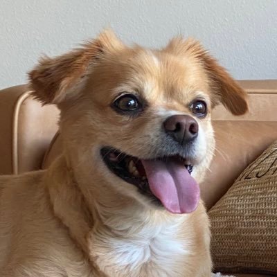 Bundypalooza's profile picture. I make a living off fantasy sports