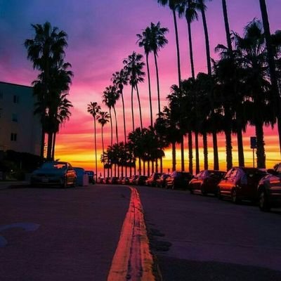 eleumpri's profile picture. 