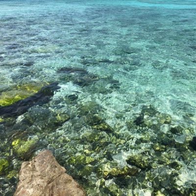 oisikajio's profile picture. ポエムおじさん/写真と文