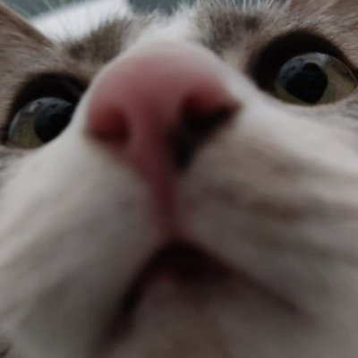 florn'tさんのプロフィール画像