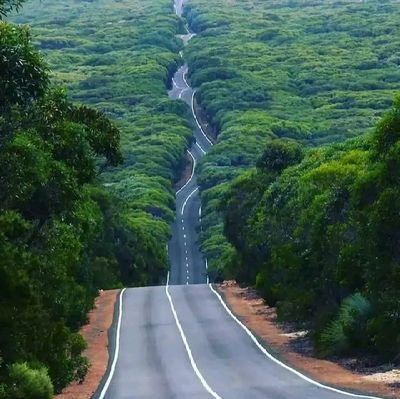 SamuelFura's profile picture. #TrueLover