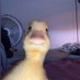 who hurt uu? (@ntdeeckk) Twitter profile photo who hurt uu? (@ntdeeckk) Twitter profile photo