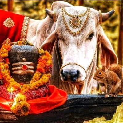 SunnyTyagi8518's profile picture. Just working on it ......