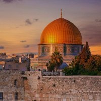 Muhanad Al-Faiz (@muhanad_faiz) Twitter profile photo