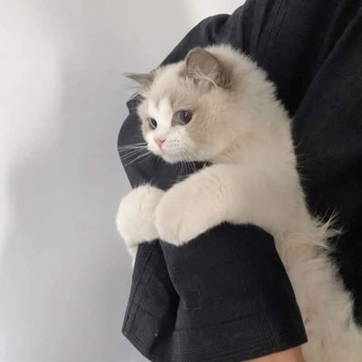 CicadaSu's profile picture. 电子产品&主机游戏；BDSM；AV推荐；不烟不酒不嫖不赌，黄的没边儿；梯子推荐⬇️（10元1024GB/月）