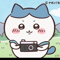 がくくん(@f095photo) 's Twitter Profileg