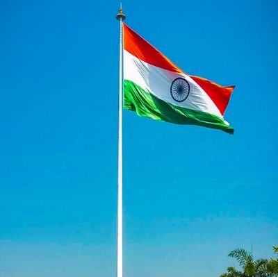 aryan4182's profile picture. 