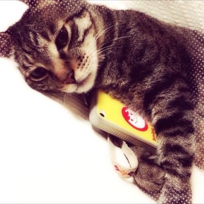 yusuke_blog1026's profile picture. 3年目エンジニア／Vibe Coderになりたい／RUNTEQ34期卒