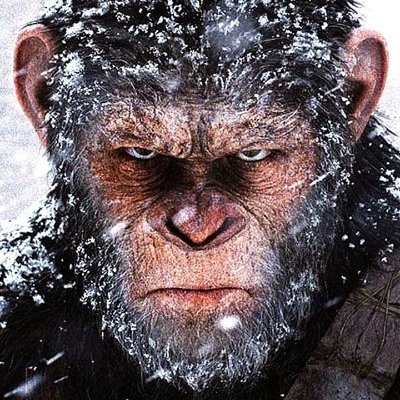 ikarius33333's profile picture. 