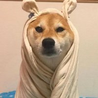 tfctfc sg (@tfctfcs4384) 's Twitter Profile
