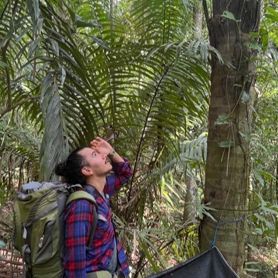 Forest geneticist & pathologist 🌳🍄🧬 Postdoctoral researcher @stri_panama. @mycopat alumni. He/Him 🇨🇴🇸🇪