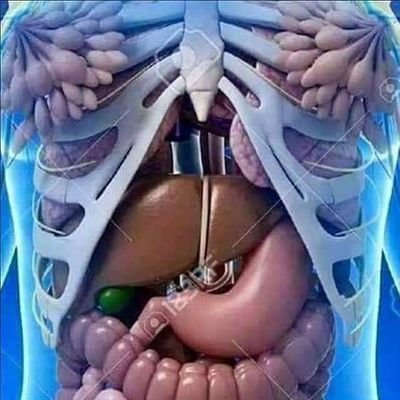 bakare_jamiyu's profile picture. LIFE IS 🧨🥇TOO SHORT🧨🥇PLAYMORE