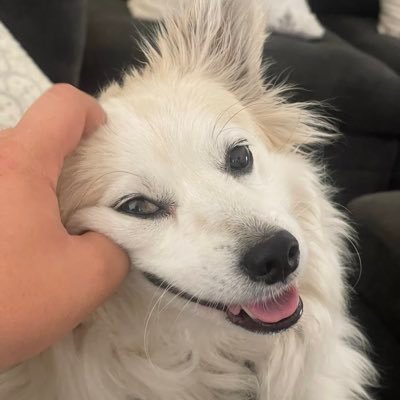 Andyboihot's profile picture. ancient